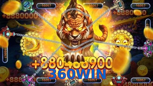 360WIN