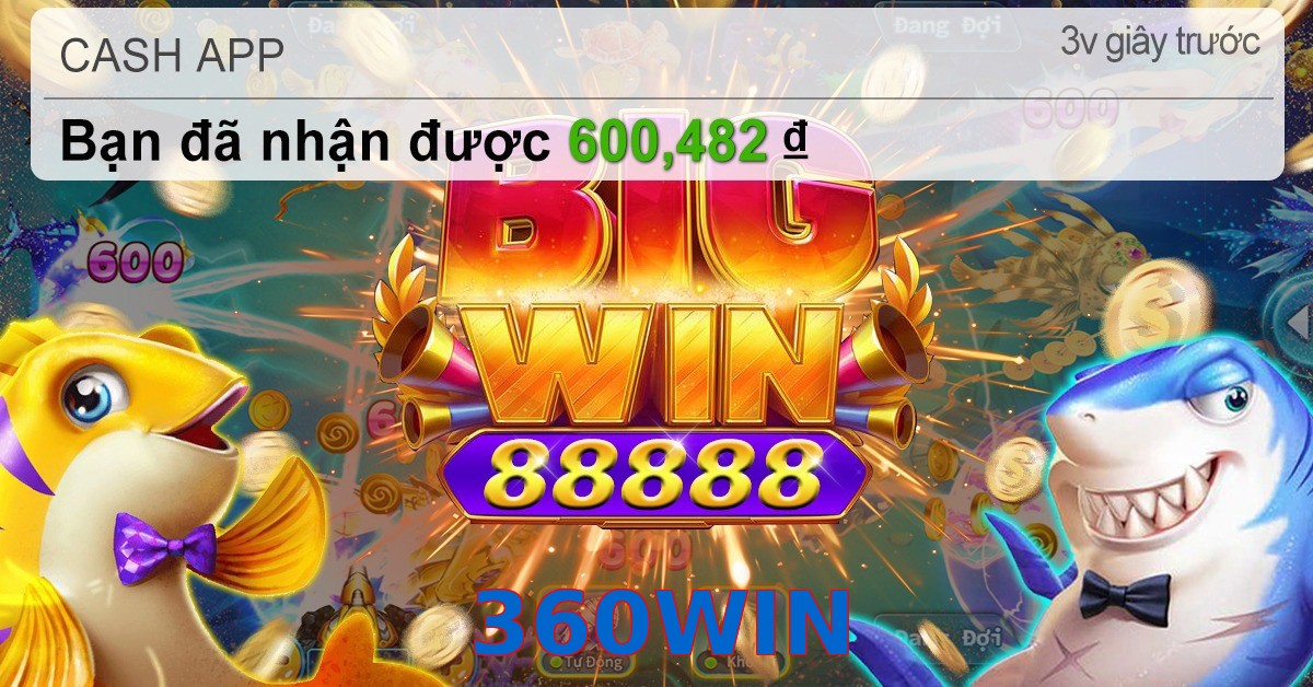 360WIN